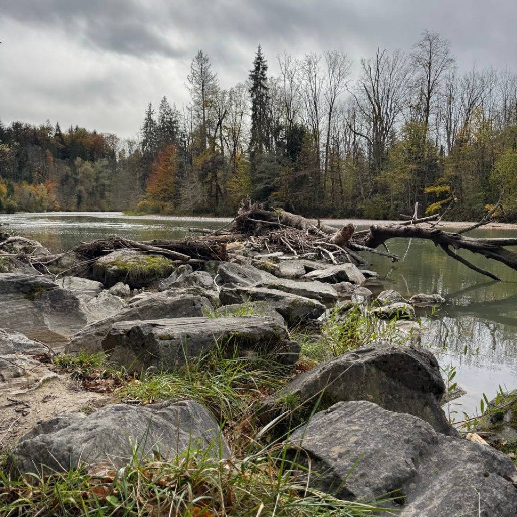 Serene Riverside Landscape