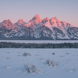Alpenglow Over the Tetons — Winter Sunrise