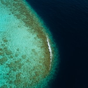 Edge of the Reef — Maldives Turquoise to Navy