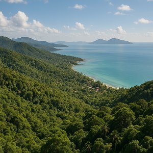 Koh Samui Coastal Panorama — Jungle Hills Meeting Turquoise Sea