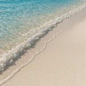 Maldives Shoreline Close Up