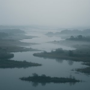 Mist over Danish Wetlands