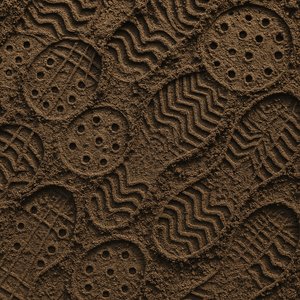 Overlapping Shoe and Spike Impressions in Damp Soil