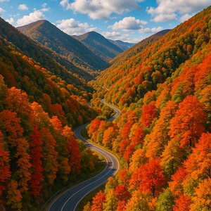 Winding Road Through Autumn Valleys — Golestan National Park