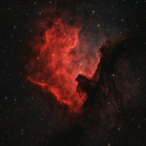 North America Nebula (NGC 7000) — Hα Emission and Dark Dust Lanes