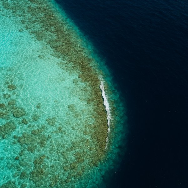 Edge of the Reef — Maldives Turquoise to Navy