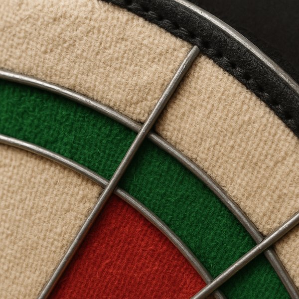 Extreme Close-Up: Dartboard Number Ring Texture